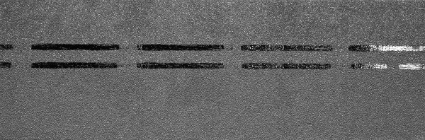 Коньково-карнизная черепица Docke Premium, черника купить в Усть-Куте