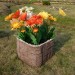 Цветник КАНЬОН купить в Усть-Куте