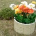 Цветник КАНЬОН купить в Усть-Куте
